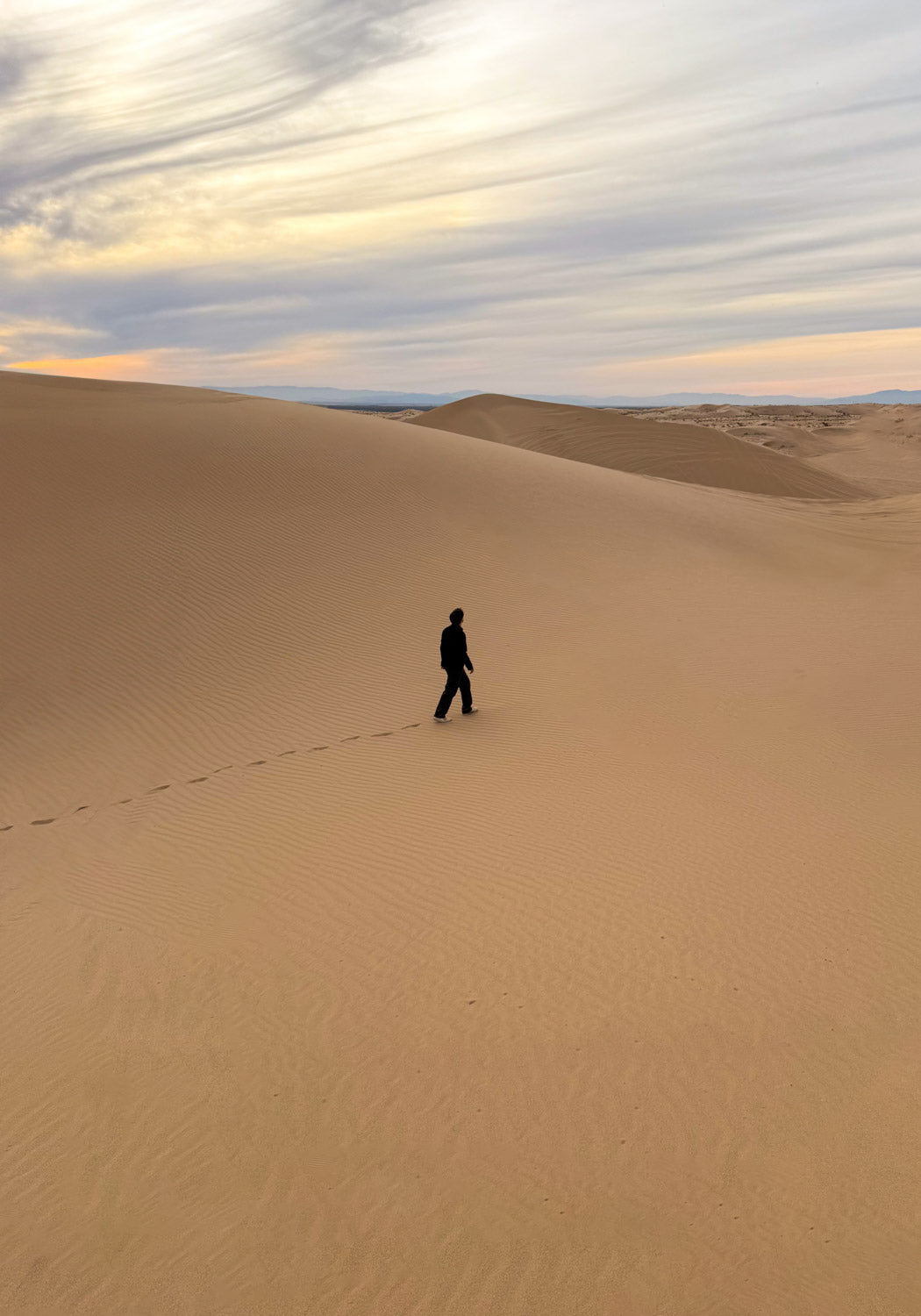 Person wearing the Hypnotic Clothing Lucien black work jacket walking alone across sand dunes under a cloudy sky at sunset, cinematic streetwear photography.